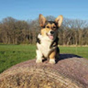 Meet your Posher, Alexis